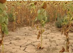 Через посуху Молдова домовляється з Україною про постачання питної води