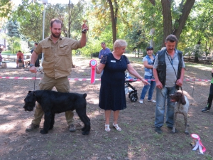 Кинологический союз Украины оценил измаильских собак