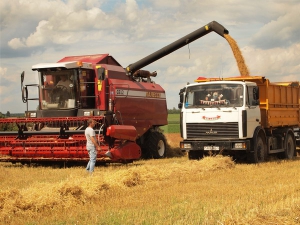 Аграрии уже собрали более 51 млн тонн зерновых