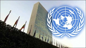 87 организаций призвали исключить РФ из Совета ООН по правам человека