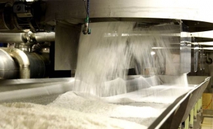 Производство сахара в Украине выросло на 40%