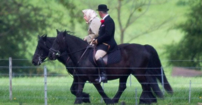 92-летняя королева Елизавета II оседлала коня: фотофакт