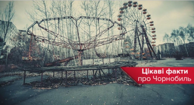 Чернобыль: 12 фактов об аварии, городе и животных