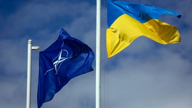 Парламентская ассамблея НАТО призывает помочь Украине вступить в Альянс