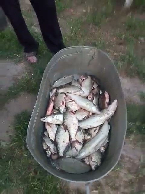 На озере Катлабух снова зафиксирован незаконный вылов рыбы