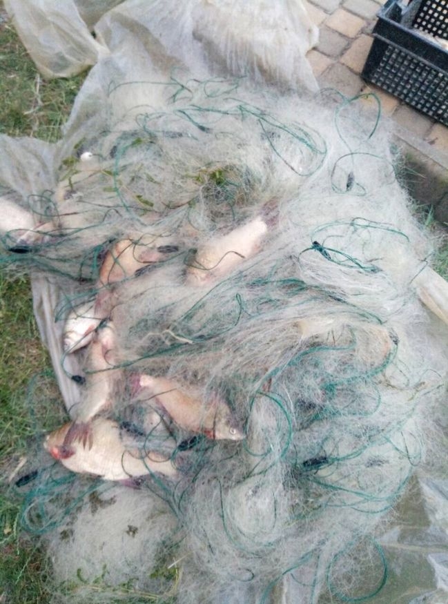 На озере Ялпуг и на побережье Черного моря пограничники задержали браконьеров с уловом на 16 тысяч гривен