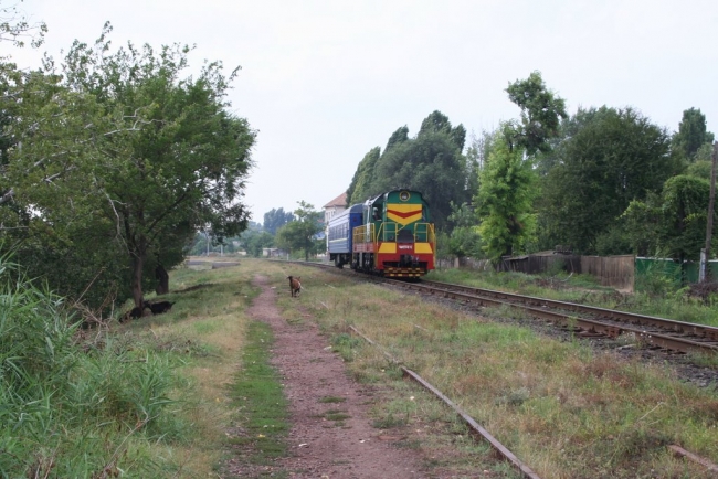 Ренийские железнодорожники просят городскую власть компенсировать расходы на перевозку льготников