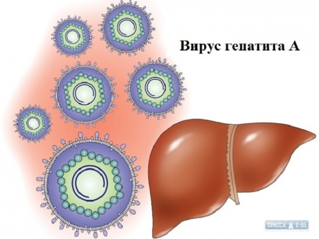Медики зафиксировали случай группового заболевания гепатитом среди школьников на юге Одесщины