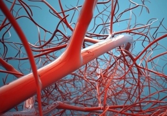 Ученые вырастили человеческие кровеносные сосуды в лаборатории