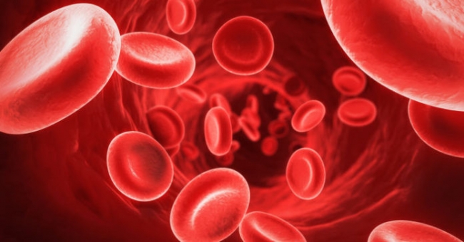 Ульяна Супрун: В Украине будут трансформировать национальную систему крови