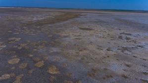 Одесский эколог настаивает на восстановлении притока морской воды в «Тузловские лиманы»