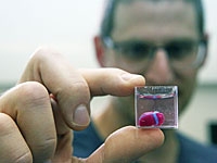 Израильские ученые первыми в мире с помощью 3D-принтера создали "живое" сердце