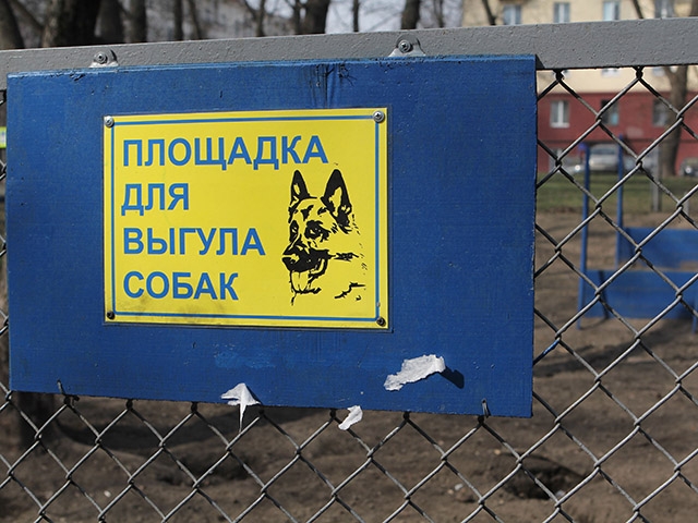 Ренийская мэрия планирует создать условия для цивилизованного выгула собак