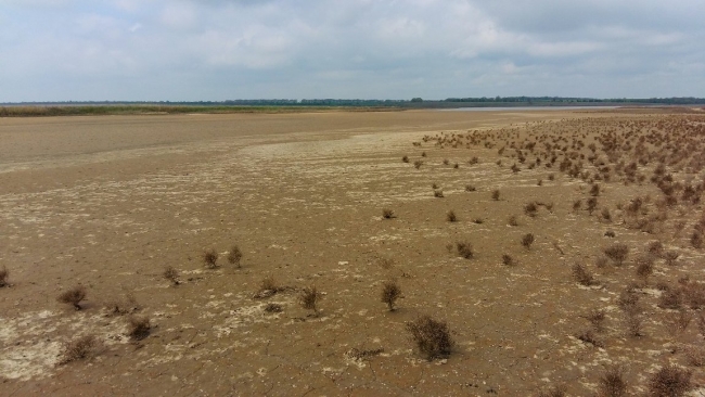 Экологи Одесщины бьют тревогу из-за пересохших водоёмов. Минприроды игнорирует проблему
