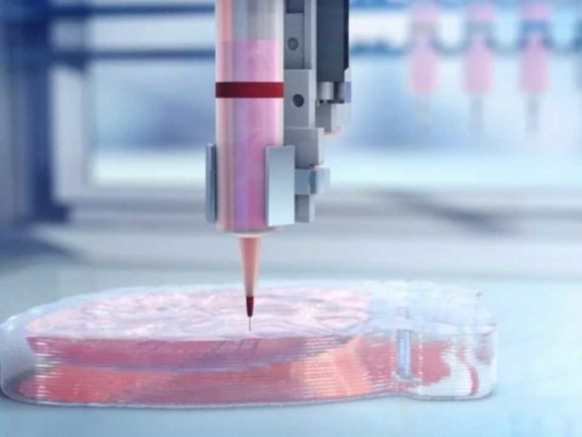 Человеческое сердце напечатали на 3D-принтере