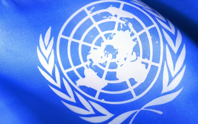 ООН призывает мир запретить опасные вещества, содержащиеся в посуде, одежде и бумаге