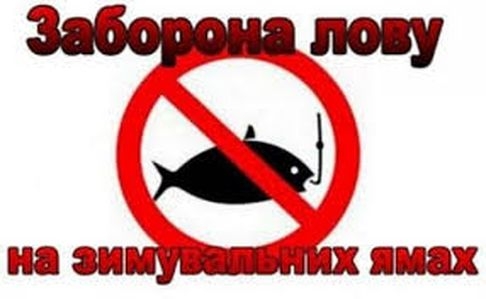 C 1 ноября вводится запрет на вылов рыбы в зимовальных ямах
