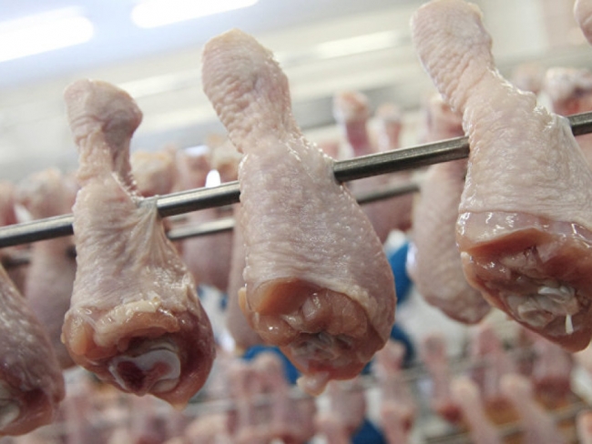 В Украину из Польши завезли опасную курятину с вирусом сальмонеллы
