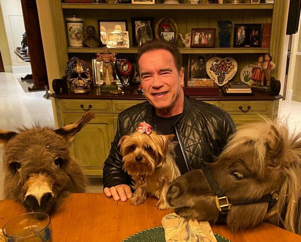 В сети смеются над новым фото Шварценеггера с животными