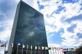 Уже и в ООН раскритиковали кабминовский «закон о дезинформации»