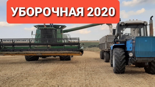 Нулевой урожай-2020
