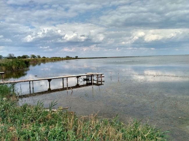 Озеро Сасык нельзя соединять с морем: водоём погибнет - эколог