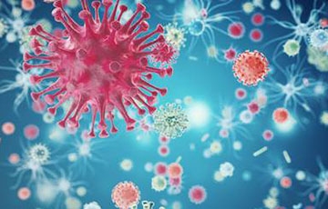 Медики выяснили, передается ли коронавирус через дверные ручки и выключатели
