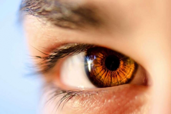 Ученые обнаружили у людей гены для регенерации глаз