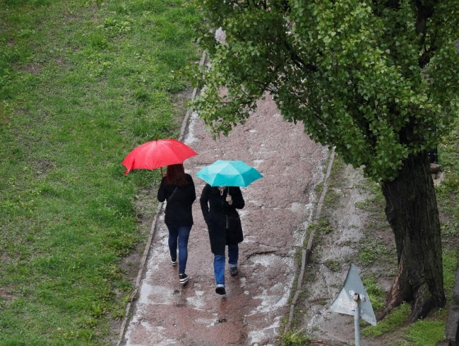Лето будет дольше на месяц, а зима - очень тёплой: климатолог рассказала о стремительных изменениях погоды в Украине