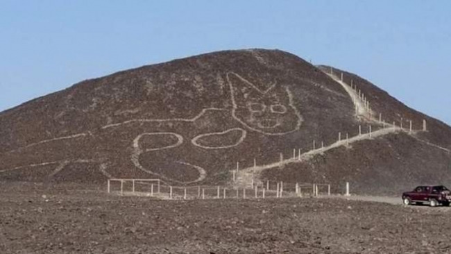В Перу обнаружили гигантский рисунок кота: ему примерно две тысячи лет