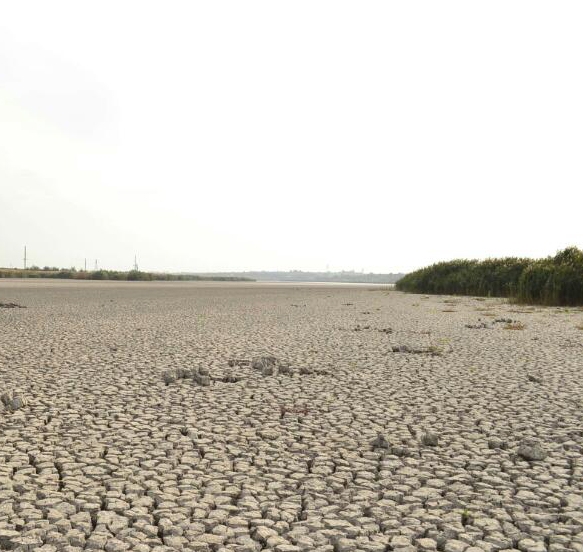 Экологическая катастрофа на озере Сафьяны