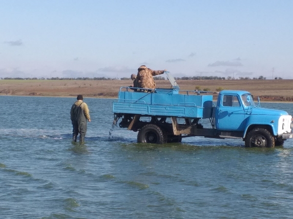 В озеро Китай выпустили 16 тонн мальков