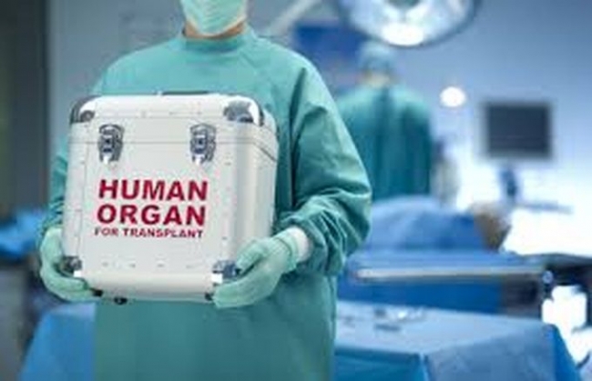 Минздрав выделил почти 25 млн гривен на разработку проекта трансплантации