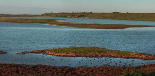 В Одесской области пересохло устье реки Тилигул – чем это грозит?
