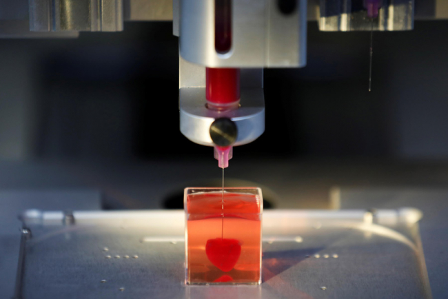 В Израиле планируют печатать человеческое сердце на 3D-принтере для пересадки