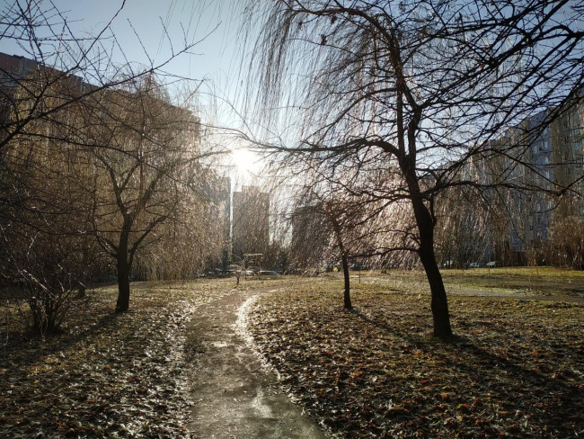 Учёные назвали причину тёплой зимы в Украине и рассказали, чем грозит отсутствие снега