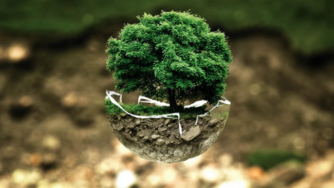 12 мая - День экологического образования