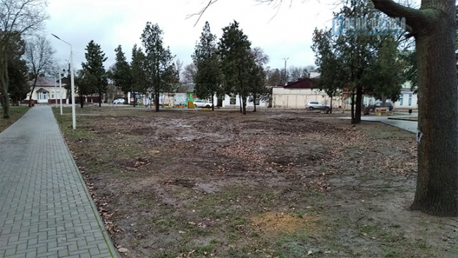 В центральном парке города Рени ликвидируют ещё 46 деревьев