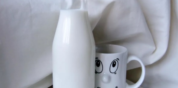 Стало відомо, як коров’яче молоко шкодить здоров’ю