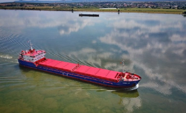 Через падіння рівня води у Дунаї ускладнився експорт зерна