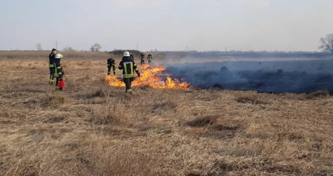 В Україні посилять кримінальну відповідальність за підпали опалого листя та стерні