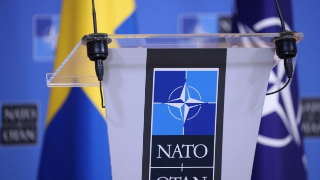 Парламентська асамблея НАТО визнала росію державою-терористом - Чернєв