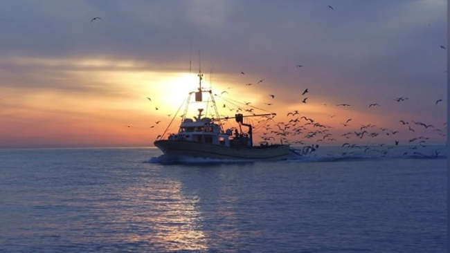 На Одещині відкрито навігацію для суден флоту рибної промисловості