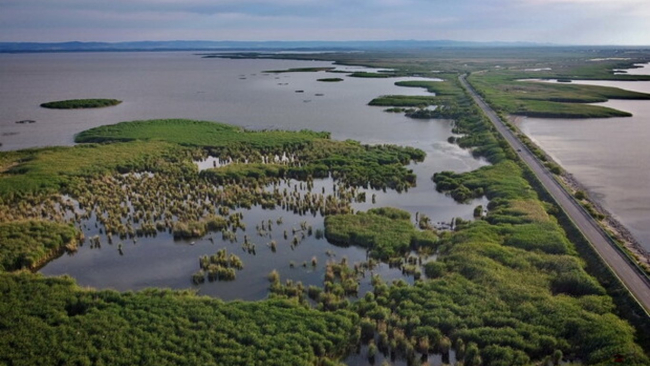 В Одеській ОВА розповіли про основні екологічні проблеми регіону