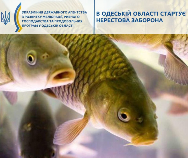 На Одещині з 1 квітня діятиме заборона на вилов риби у водоймах