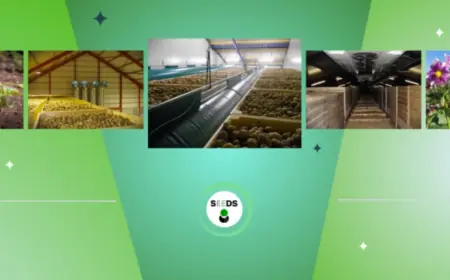 У 2026 році аграрії отримають державні гранти на будівництво сучасних овочесховищ