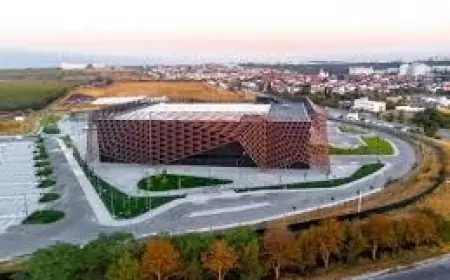 Від теплиць до пекарень: приклади успішних ветеранських проєктів у рамках програми "Власна справа"