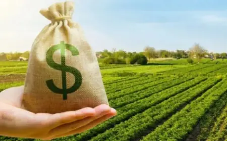 Аграрії сплатили понад 1 млрд грн за державні землі через "Земельний банк"