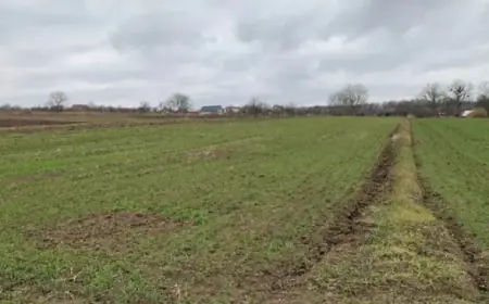 Чи мають право сусіди змінювати межі своїх ділянок за згодою