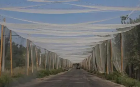 Пояс фортець на Донбасі: чому він важливий для України